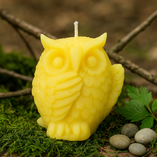 Yellow owl-shaped candle on a natural background with moss and stones
