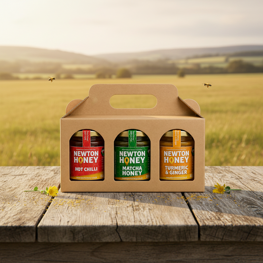 A three-pack of Newton Honey jars in a brown cardboard carrier box, featuring Hot Chilli, Matcha, and Turmeric & Ginger varieties.