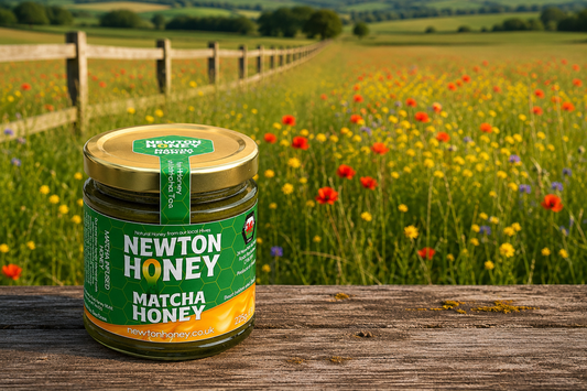 Matcha Infused Honey
