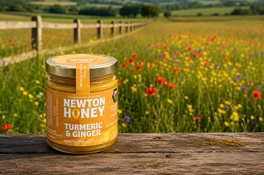 Turmeric & Ginger Infused Honey – 225g Jar